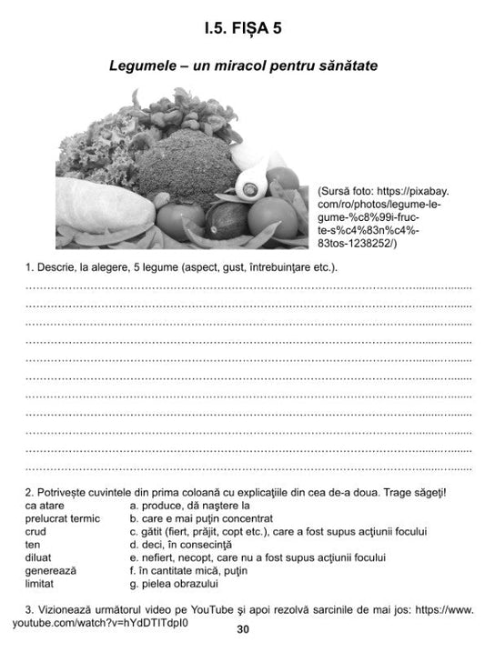 Limba și literatura română pentru școlile și secțiile cu predare în limba maghiară - Caiet de lucru pentru dezvoltarea competențelor de comunicare în limba română ca limbă nematernă, clasa a IX-a