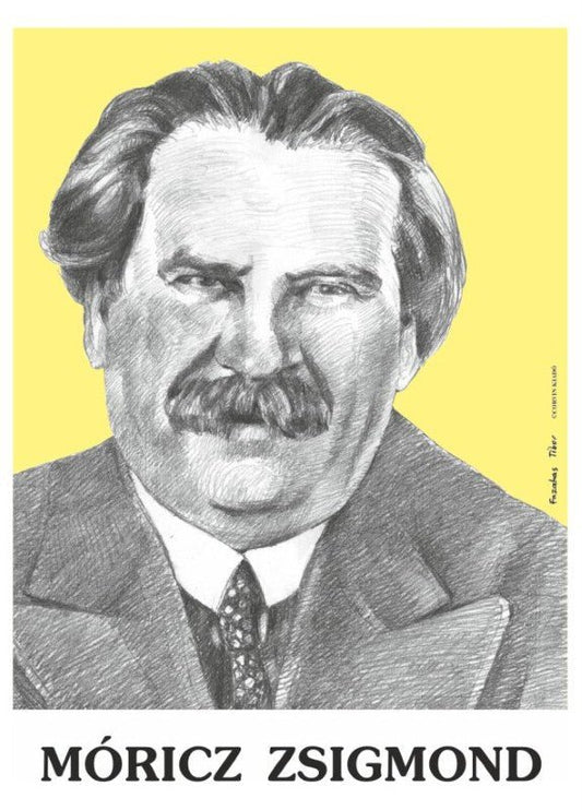 Scriitori și poeți maghiari – material ilustrativ