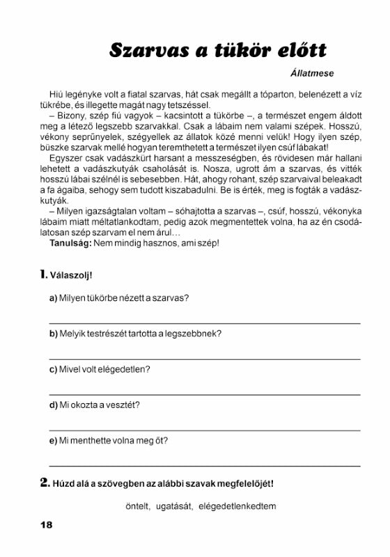 Földes Ildikó, Román Melinda: Vakációs füzet 1. osztályosoknak