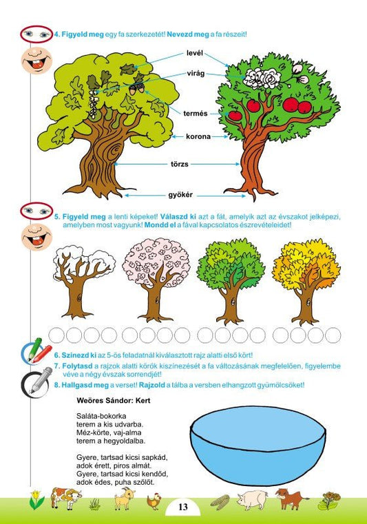 Tankó Veronika-Zita, Nagy Enikő: Számos természet 2. rész, Matematika és a környezet feltárása munkafüzet az előkészítő osztályosok számára