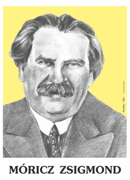 Scriitori și poeți maghiari – material ilustrativ